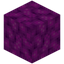 Bubble Coral Block