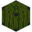 Melon 1x