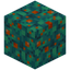 Semi Spongy Warped Wart Block