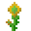 Aura Bloom