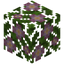 Flowering Leaves