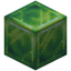 Block of Experience