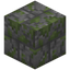 Cracked Mossy Stone Bricks Bricks