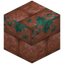 Rounded Raw Copper Block Bricks