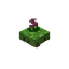 Floating Pink Flower