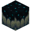 Sculk Catalyst