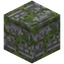 Blank Mossy Cobblestone Carving