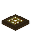 Golden Barred Spruce Trapdoor