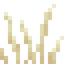 Tall Beach Grass