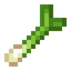 Leek