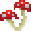 Clustered Red Mushroom