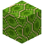 Hexagonical Lime Glazed Terracotta