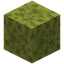 Wet Sponge