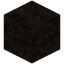 Charred Grass