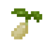 Rice Seed