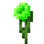 Mystical Lime Flower