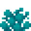 Gem Coral Fan