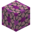 Paved Magenta Glazed Terracotta