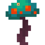Button Warped Fungus