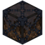 Mycelium 6x