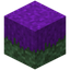 Enderslime Grass