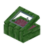 Pink Green Bioshroom Display Case