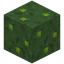 Green Mushroom Block