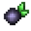 Blackcurrant