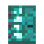 Tile Windowed Warped Door