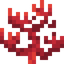 Fire Coral