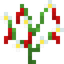 Wild Chili Pepper