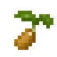 Peanut Seed