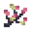 Dwarf Blossoms