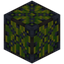 Melon 9x