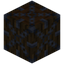 Dark Oak Log 7x