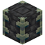 Reinforced Deepslate