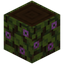 Flowering Dark Oak Log