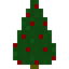 Holly Tree Sapling
