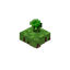 Floating Lime Flower