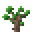 Sickly Twilight Oak Sapling