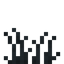 Dead Grass