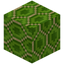 Hexagonical Lime Glazed Terracotta