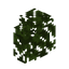 Oak Hedge