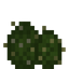 Arid Garden