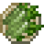 Cantonese Greens