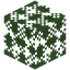 Sugar Maple Leaves