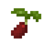 Radish Seed