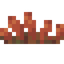 Red Bitter Sprouts
