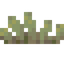 Green Bitter Sprouts