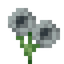 Mystical Light Gray Flower